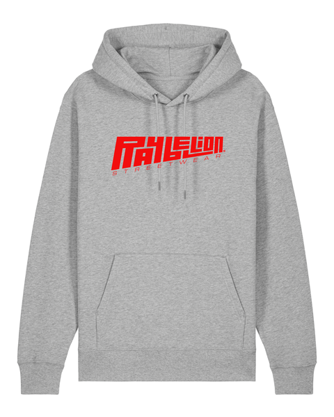 LOGO RAYBELLION HEAVY HOODIE